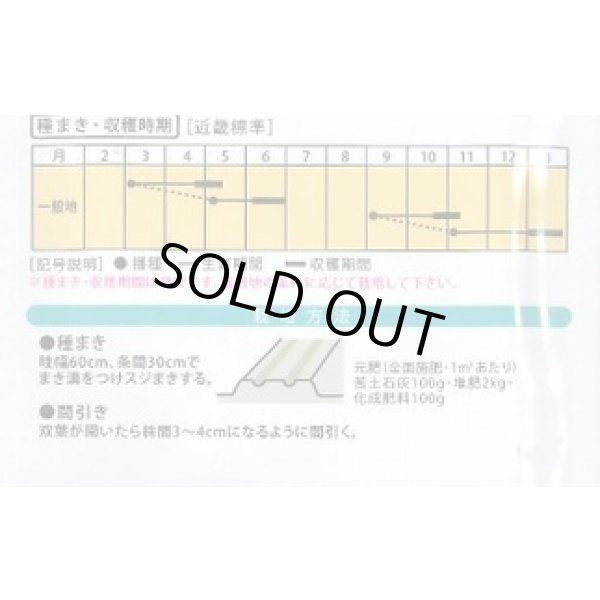 画像2: 送料無料　[大根]　二十日すみれちゃん　5ml (2)