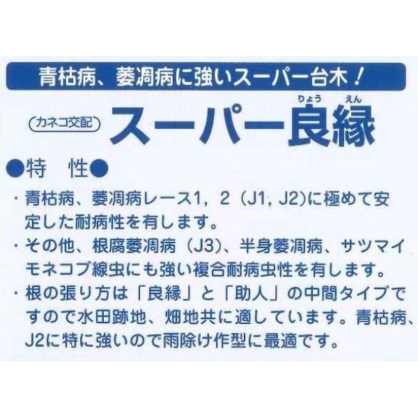 画像3: [台木/トマト用]　スーパー良縁　　100粒　 カネコ種苗 (3)