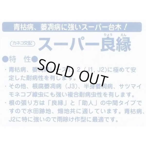 画像3: 送料無料　[台木/トマト用]　スーパー良縁　1000粒　カネコ種苗（株） (3)
