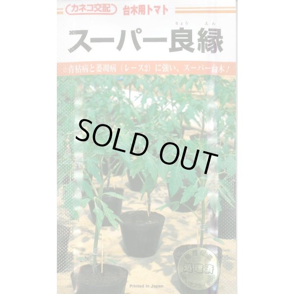 画像1: 送料無料　[台木/トマト用]　スーパー良縁　1000粒　カネコ種苗（株） (1)