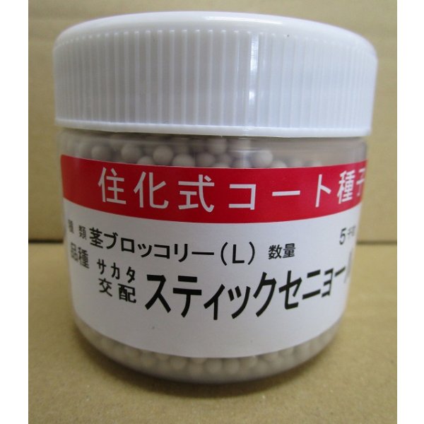 画像1: 送料無料　[ブロッコリー]　スティックセニョール　ペレット5000粒　(株)サカタのタネ (1)
