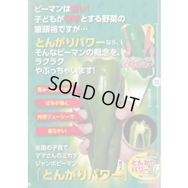 画像3: 送料無料　[ピーマン]　とんがりパワー　20粒　ナント種苗(株) (3)