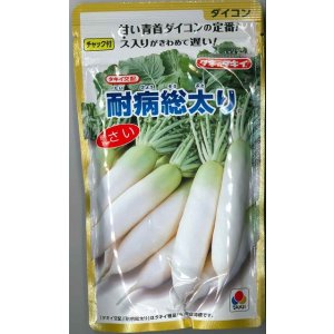 画像: 送料無料　[大根]　耐病総太り　2dl　タキイ種苗(株)