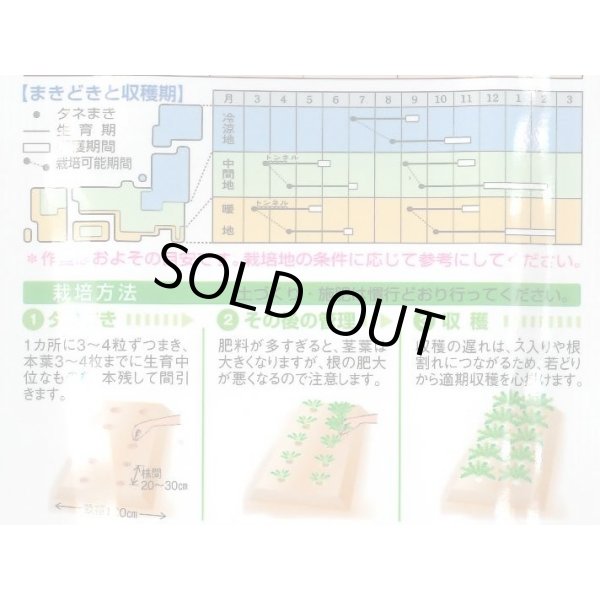 画像2: 送料無料　[大根]　耐病総太り　16ml　タキイ種苗(株)　DF (2)