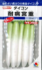 画像: [大根]　耐病宮重　18ml　タキイ種苗(株)　DF