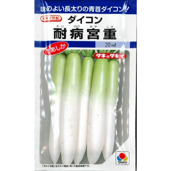 画像1: [大根]　耐病宮重　18ml　タキイ種苗(株)　DF (1)