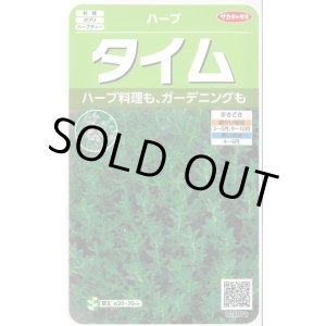 画像: 送料無料　[ハーブの種]　タイム　約1500粒　(株)サカタのタネ　実咲（003183）