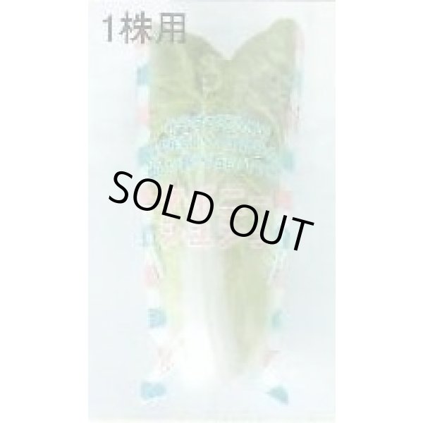 画像3: 青果袋　白菜　タイニーシュシュ専用ＦＧ袋　100枚入　1株用　（株）サカタのタネ (3)