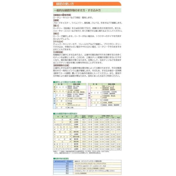 画像4: [緑肥]　大根　コブ減り大根 1kg　タキイ種苗（株） (4)