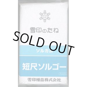 画像: [緑肥]　短尺ソルゴー　1kg 　雪印種苗（株）