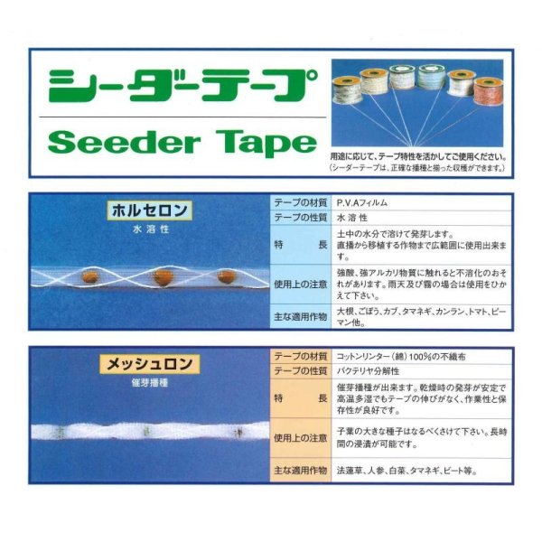 画像4: [シーダー種子]　ほうれんそう　ハンター　1粒×5cm間隔 (4)