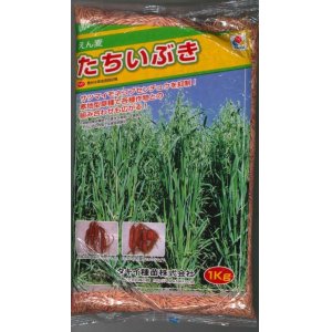画像: [緑肥]　えん麦　たちいぶき 1kg　タキイ種苗（株）