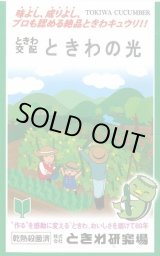 画像: [キュウリ] ときわの光 20粒 (株)ときわ研究場