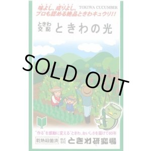 画像: 送料無料　[キュウリ]　ときわの光　20粒　(株)ときわ研究場