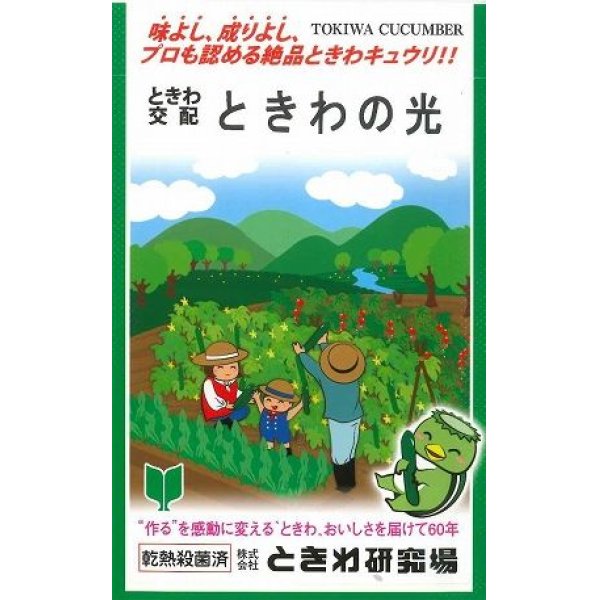 画像1: [キュウリ]　ときわの光　20粒　（株）（株）ときわ研究場 (1)