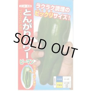 画像: 送料無料　[ピーマン]　とんがりパワー　20粒　ナント種苗(株)