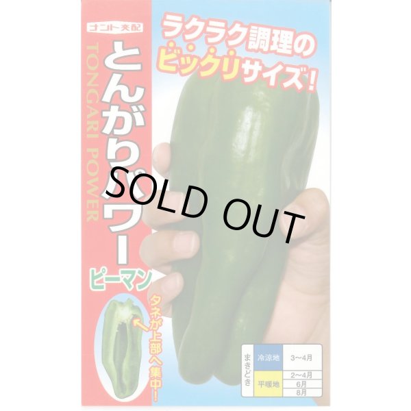 画像1: 送料無料　[ピーマン]　とんがりパワー　20粒　ナント種苗(株) (1)