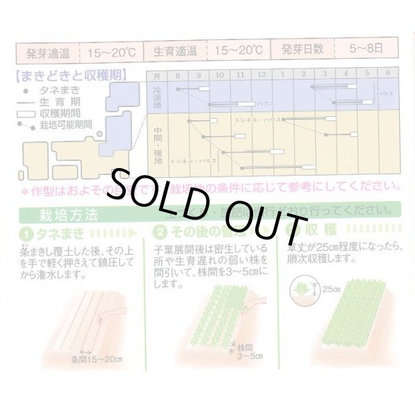 画像3: [ほうれんそう]　トライ　1Ｌ　タキイ種苗（株） (3)