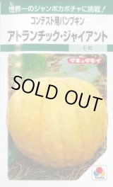 画像: 送料無料　[かぼちゃ]　アトランチック・ジャイアント　5粒　タキイ種苗　GF