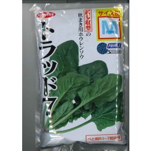 画像: [ほうれんそう]　トラッド7(種子サイズ：M)　3万粒　サカタのタネ(株)