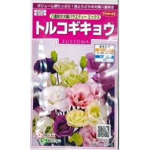 画像: 花の種　トルコギキョウ　八重咲き大輪バラエティミックス　約75粒　サカタのタネ（株）実咲350