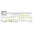 画像5: 送料無料　[キャベツ]　冬藍　　(株)サカタのタネ　実咲450（002918） (5)