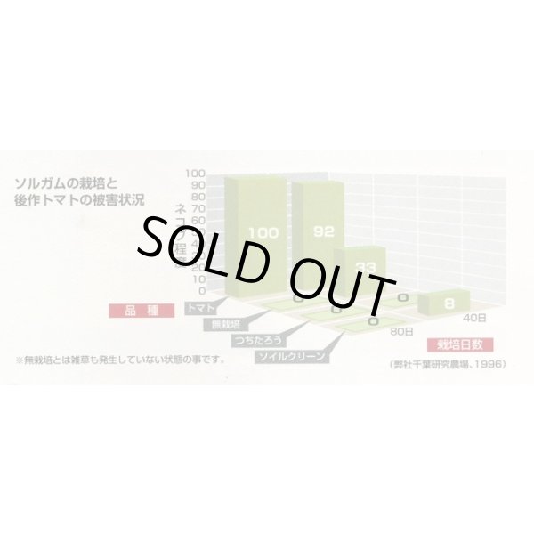 画像5: [緑肥]　ソルガム　つちたろう　1kg　雪印種苗(株) (5)