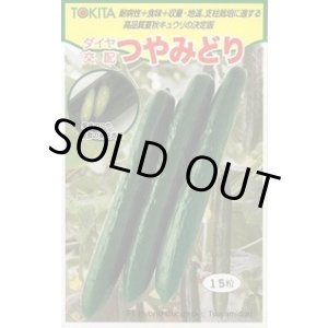 画像: 送料無料　[キュウリ]　つやみどり　15粒　トキタ種苗(株)