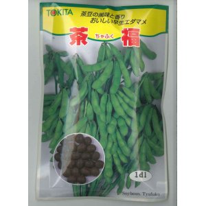 画像: [枝豆]　茶福　1dl（およそ250粒）　トキタ種苗（株）