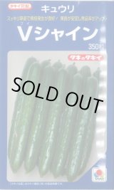 画像: 送料無料 [キュウリ] Vシャイン 350粒 タキイ種苗(株)