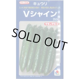 画像: 送料無料 [キュウリ] Vシャイン 350粒 タキイ種苗(株)