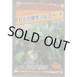 画像: [緑肥]　やわらか矮性ソルゴー　1kg　タキイ種苗(株)
