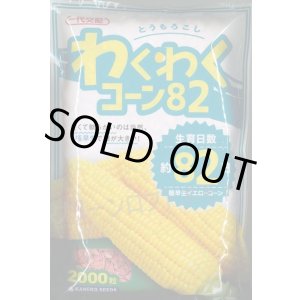 画像: [とうもろこし]　わくわくコーン82　2000粒　カネコ種苗（株）