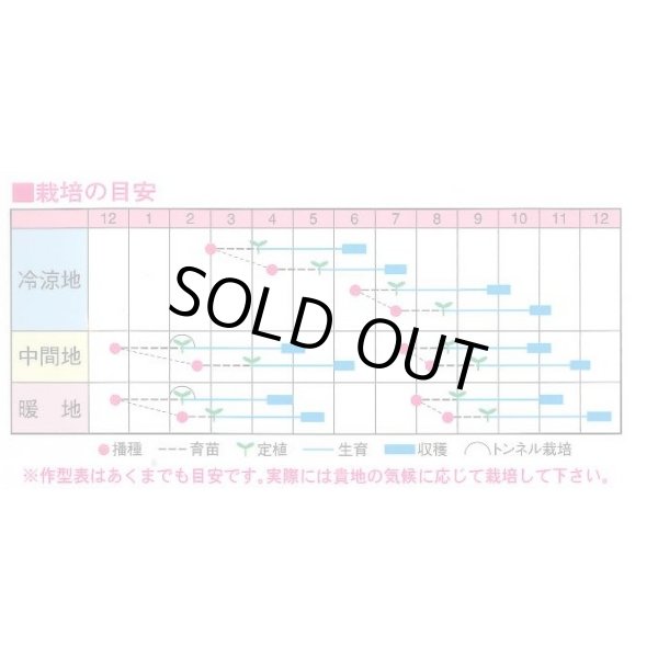 画像2: 送料無料　[ブロッコリー]　ウィンベル　60粒　渡辺農事（株） (2)