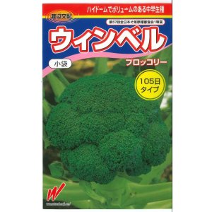 画像: 送料無料　[ブロッコリー]　ウィンベル　2000粒　渡辺交配