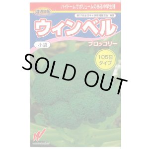 画像: 送料無料　[ブロッコリー]　ウィンベル　70粒　渡辺交配