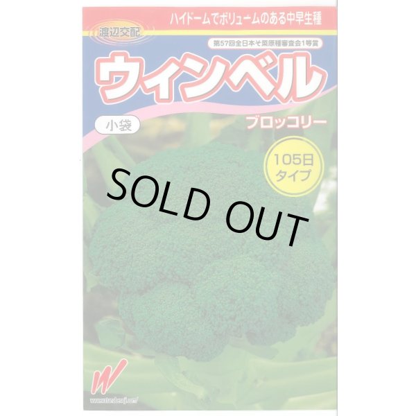 画像1: 送料無料　[ブロッコリー]　ウィンベル　60粒　渡辺農事（株） (1)