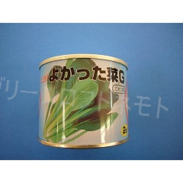 画像1: [小松菜]　よかった菜Ｇ　2dl　カネコ交配 (1)