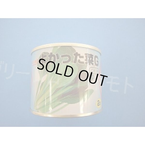 画像1: [小松菜]　よかった菜Ｇ　2dl　カネコ種苗（株） (1)