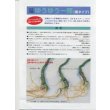 画像2: 送料無料　[台木/キュウリ用]　ＯＳ交配ゆうゆう一輝(黒種)　350粒　埼玉原種育成会 (2)