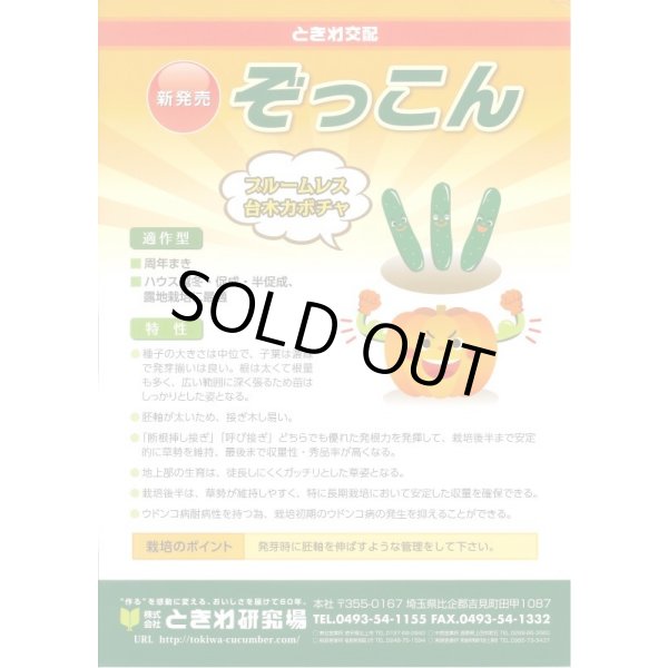 画像2: [台木/キュウリ用] ぞっこん 20粒 (株)ときわ研究場 (2)