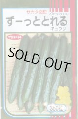 画像: 送料無料　[キュウリ]　ずーっととれる　350粒　(株)サカタのタネ