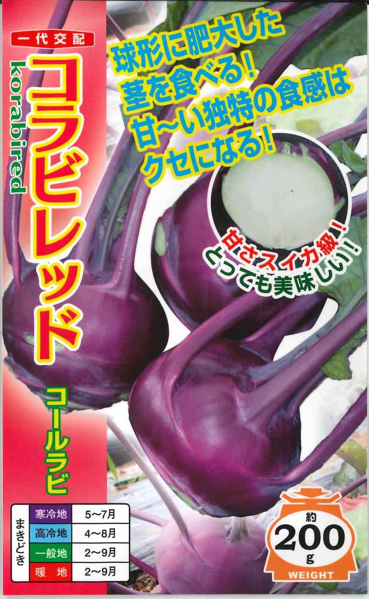 キャベツ] コールラビ コラビレッド 60粒 ナント種苗(野菜種/キャベツ)グリーンロフトネモト直営