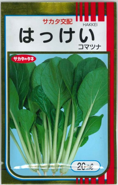 送料無料 [小松菜] はっけい 20ml （株）サカタのタネ(野菜種