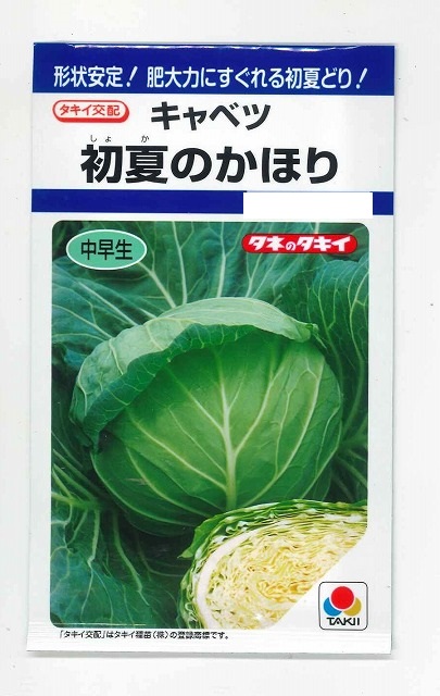 驚きの価格が実現 キャベツ 初夏のかほり 1.1ml タキイ種苗（株）交配 ＤＦ