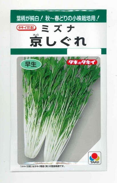 京しぐれ　GF　葉物]　水菜　タキイ種苗　5ｍｌ　(野菜種/葉物)グリーンロフトネモト直営