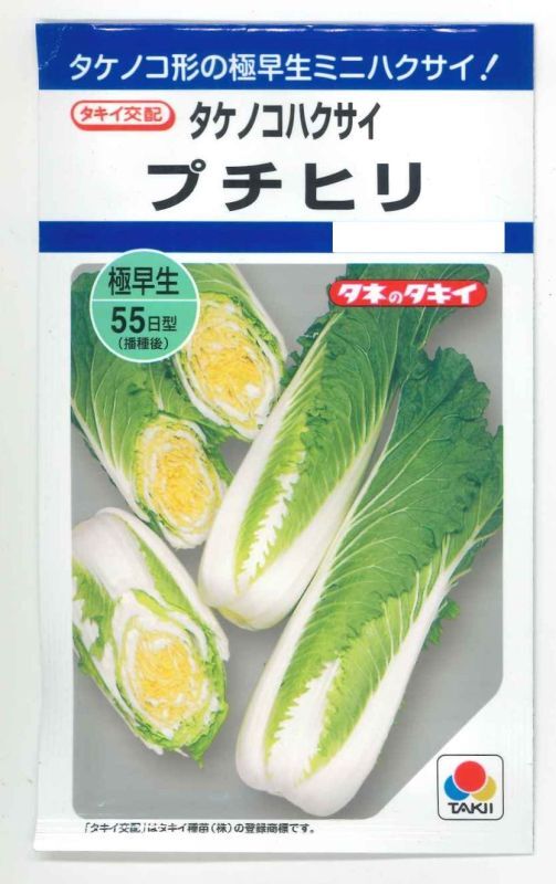 DF(野菜種/白菜)グリーンロフトネモト直営　白菜]　1.8ｍｌ　プチヒリ　タキイ種苗（株）