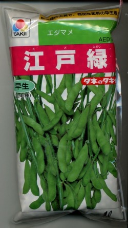 枝豆] 江戸緑枝豆 1L タキイ種苗(野菜種/枝豆)グリーンロフト