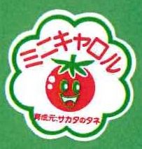 画像1: 青果シール　ミニトマト　ミニキャロル　１００枚入り　サカタのタネ (1)